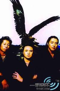 山鹰组合所有歌曲视频,重温岁月旋律