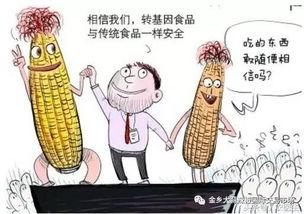 转基因食品视频,视频深度解析与科学解读