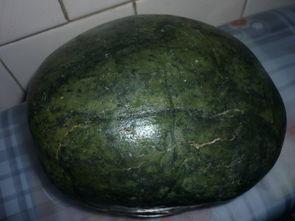 翡翠西瓜视频,探索短视频新潮流的璀璨明珠