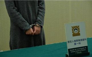 性澳门视频,探秘东方拉斯维加斯的激情与魅力