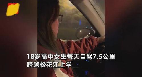 老司机成年免费视频,成年人的秘密世界大公开