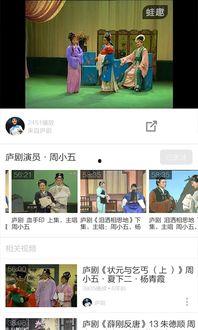 庐剧视频免费下载,尽享传统戏曲魅力之旅