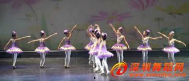 春天在哪里的舞蹈视频,跟随视频探寻春天的足迹