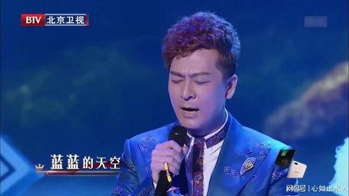 于毅牧歌视频,探寻自然与心灵的和谐共鸣