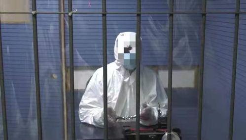 杀人分尸案视频,连环杀人分尸案视频背后的真相追踪