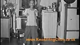 叶问咏春拳视频,传承与发扬的武术传奇