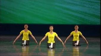 中国舞蹈考级七级视频,中国舞蹈考级七级精彩瞬间回顾