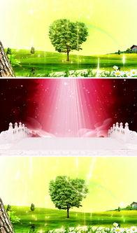 爱情树视频,见证时光流转的浪漫传奇