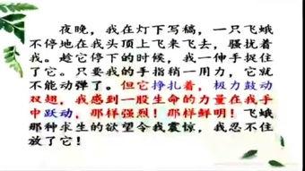 四年级下册教学视频,四年级下册教学视频精彩内容概览